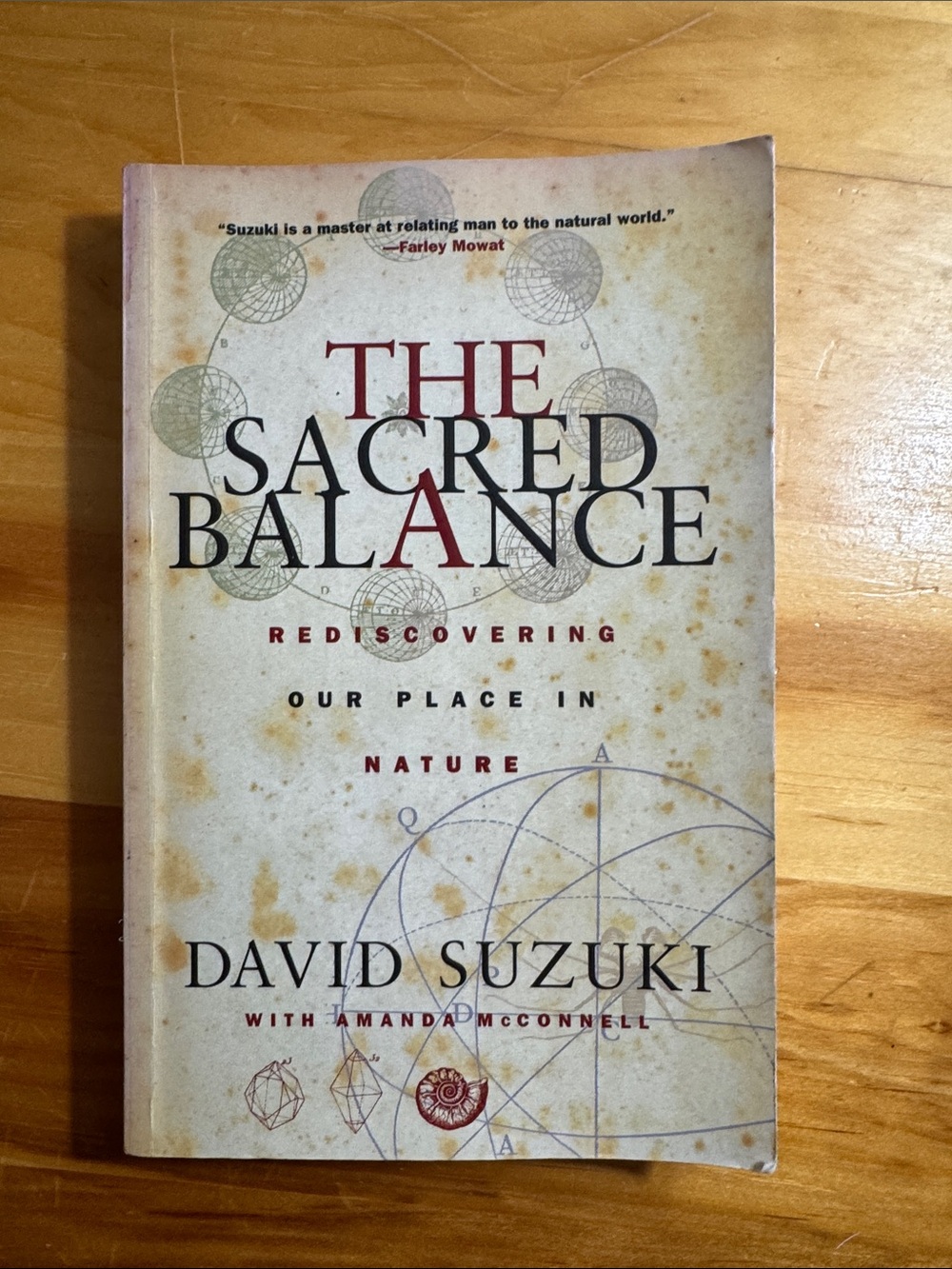 🌈2/$8 The Sacred Balance : Rediscovering Our Place In Nature